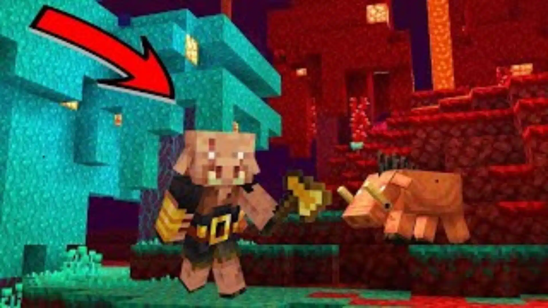 Cómo domesticar Un Piglin Bruto En Minecraft